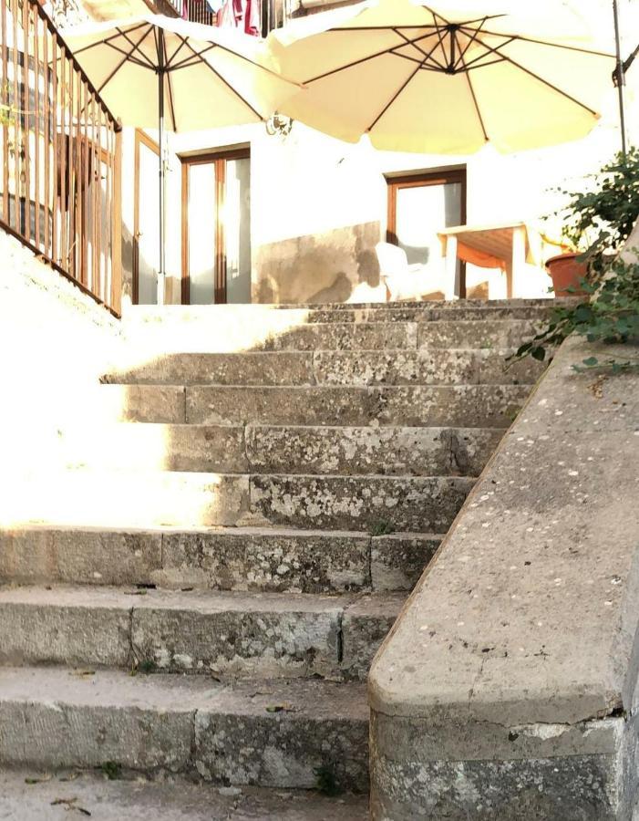 Maltese16 Modica